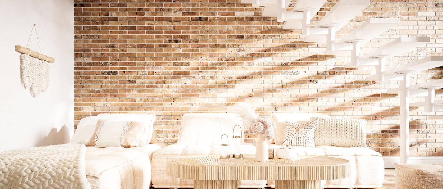 Conipit Canvas Wall Art