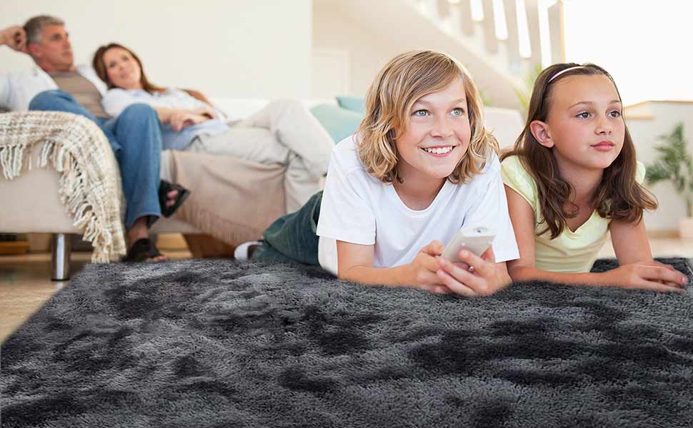 haggy velvet area rugs