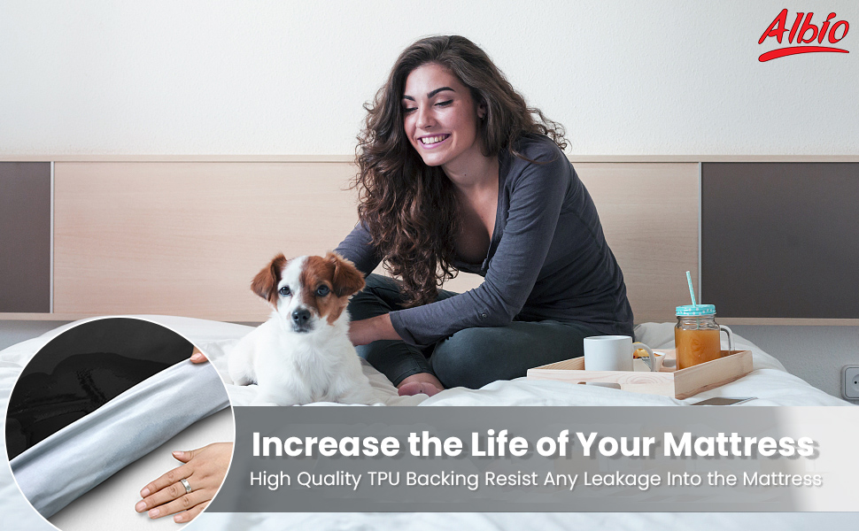 Albio Rubber Sheet for Bed