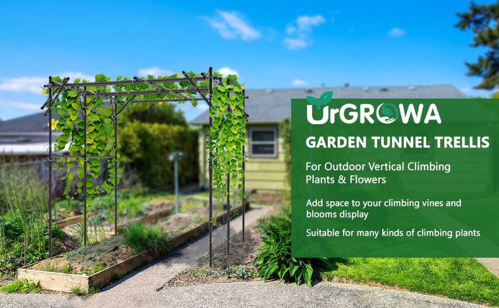 UrGROWA 79'' L x 79'' W x 79'' H Large Tall Grape Vine