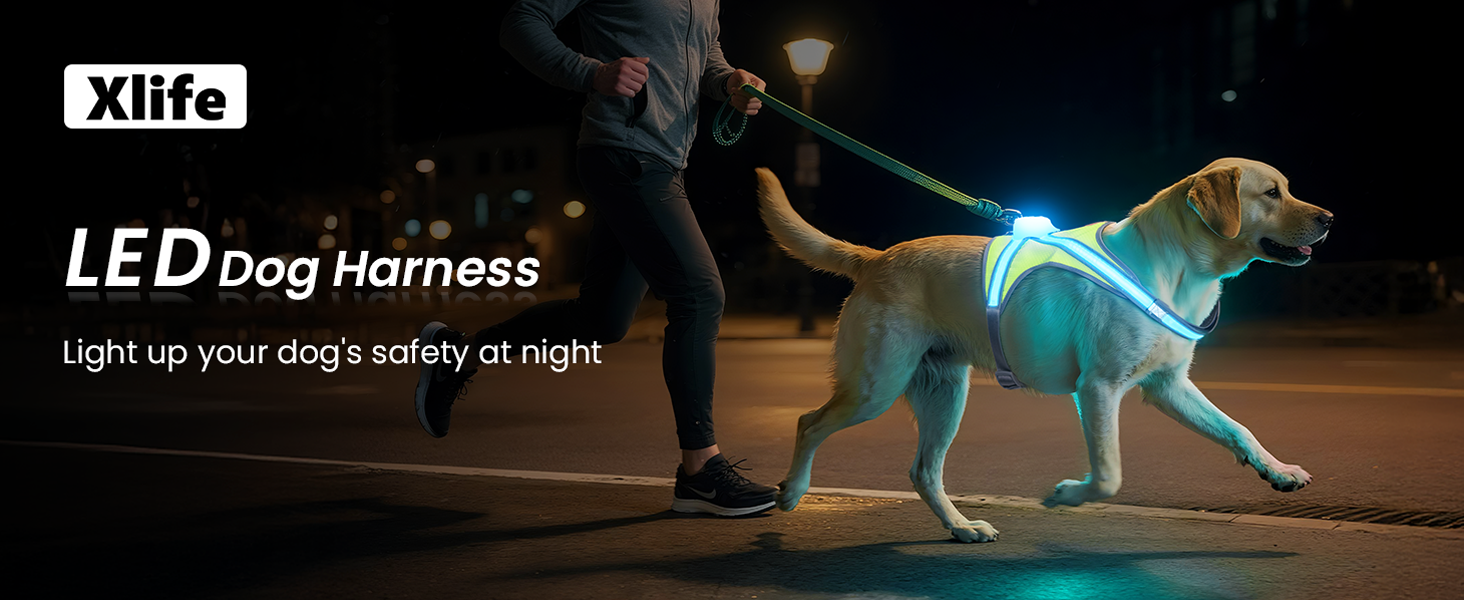 light up dog harness