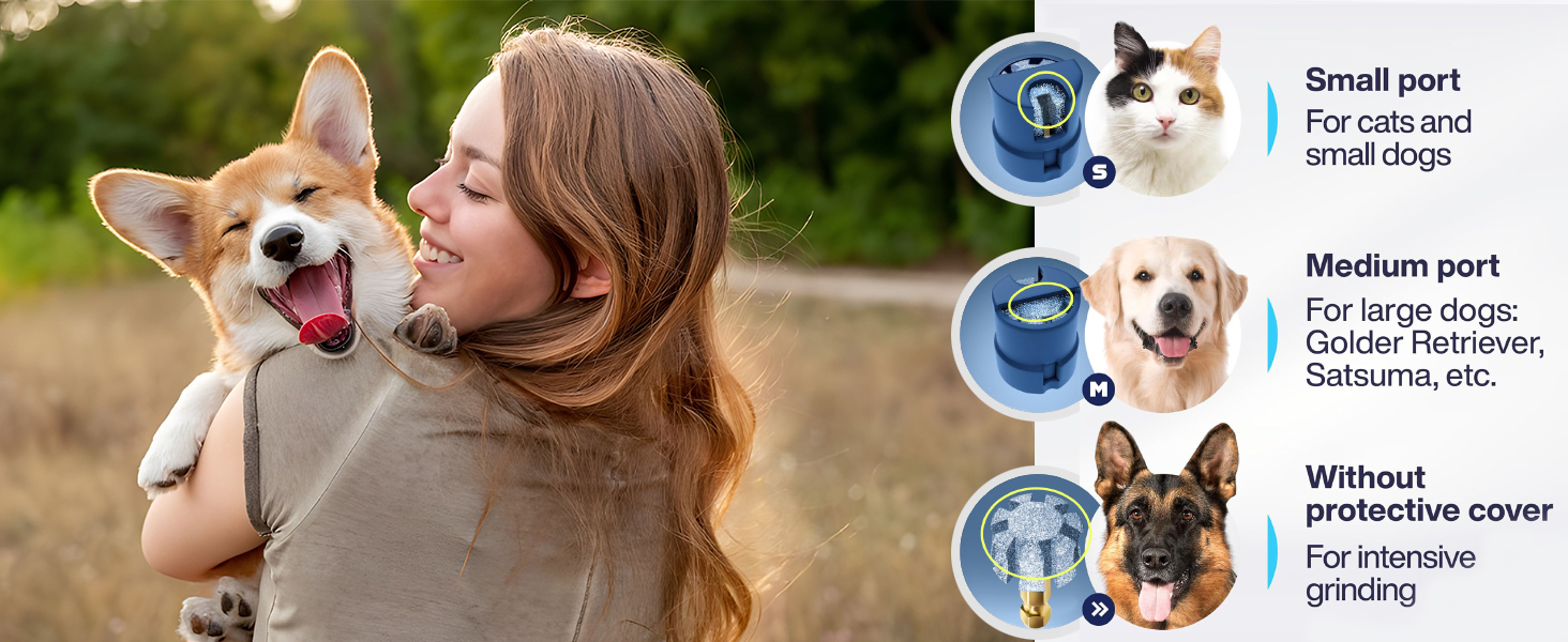 LuckyTail nail grinder bit for dog