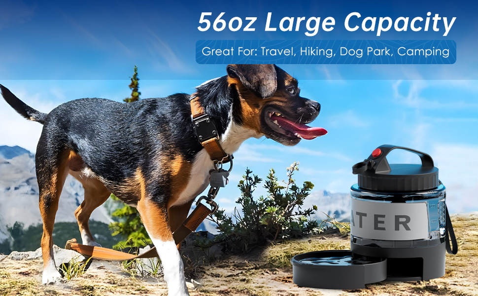 1dog water bottle
