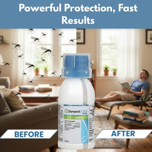 Small manufacture image 3