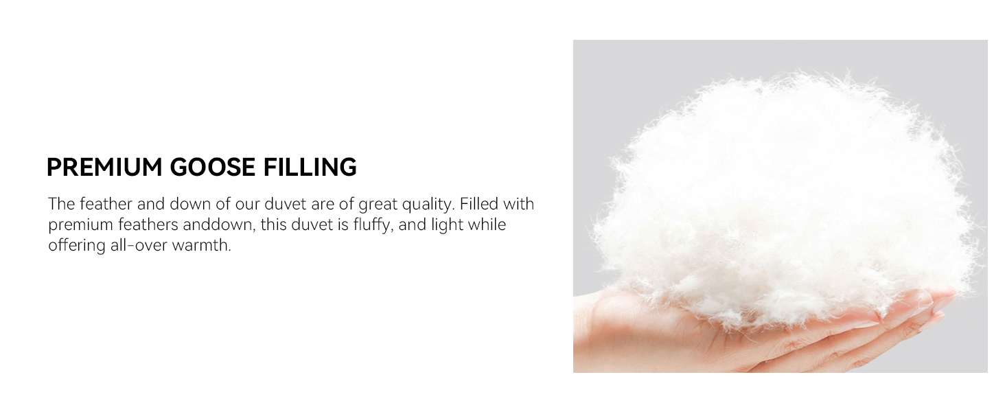 LOVSOUL Goose Feather Down Fiber Comforter King Size, 100% Organic Cotton Fabric Duvet Insert, All Season Grey Bedding C 691ebd45 B692 478f Aad3 139aae6c2505. CR0,0,1464,600 PT0 SX1464 V1