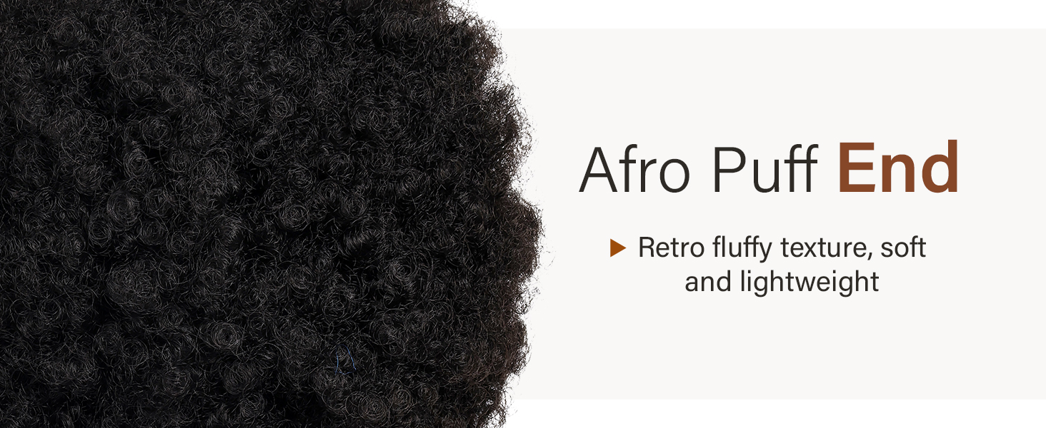 11712 Afro Puff Braided Wig