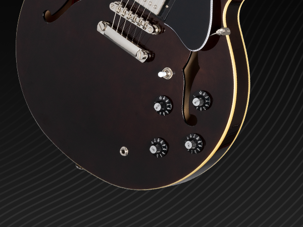 Epiphone Jim James ES-335 ブラウン ハードケース付き Epiphone Jim James ES-335 ブラウン ハードケース付き Epiphone