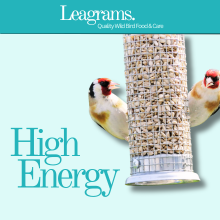 Small manufacture image 5