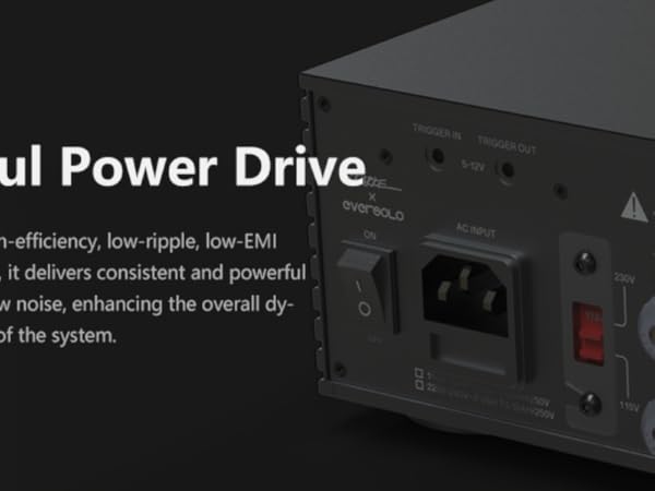 Amazon.com: EVERSOLO AMP-F2 2 Channel Power Amplifier (Black