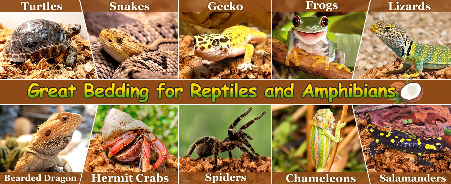 Coconut Chip Substrate for Reptiles