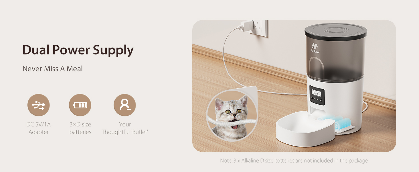 auto cat feeder