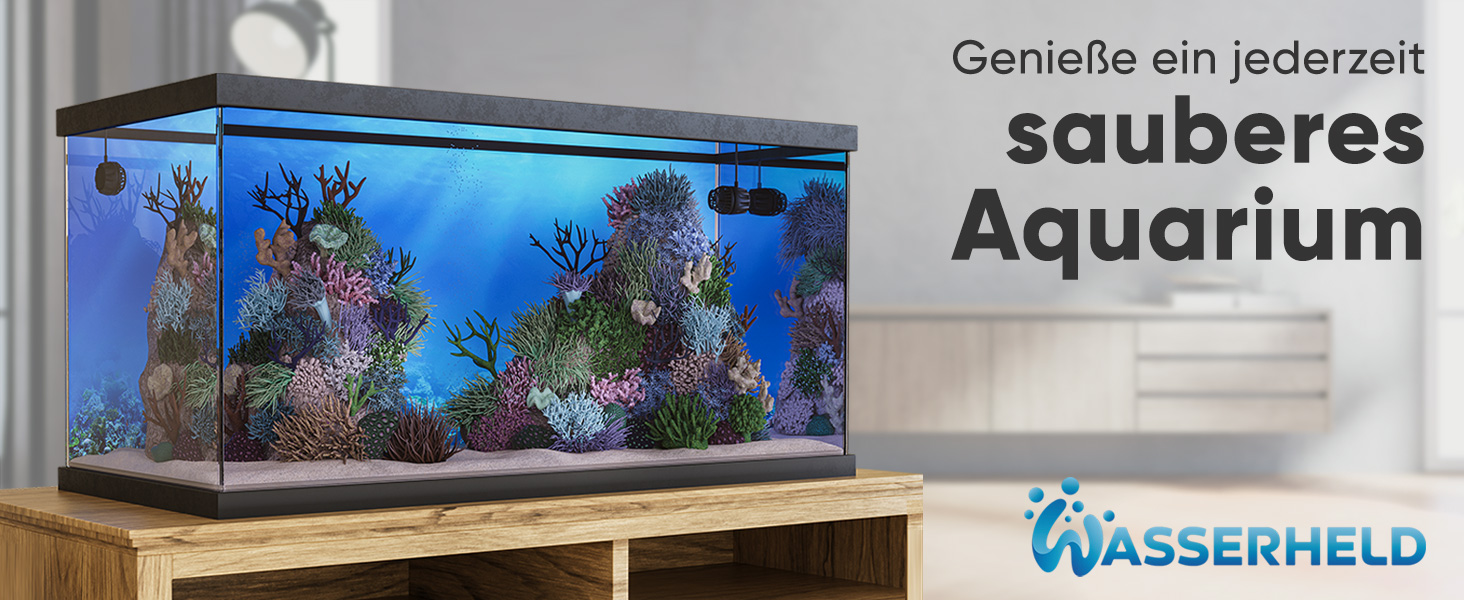 schneckenfalle aquarium aquarium wurzel aquarium kampffisch mooskugeln für aquarium