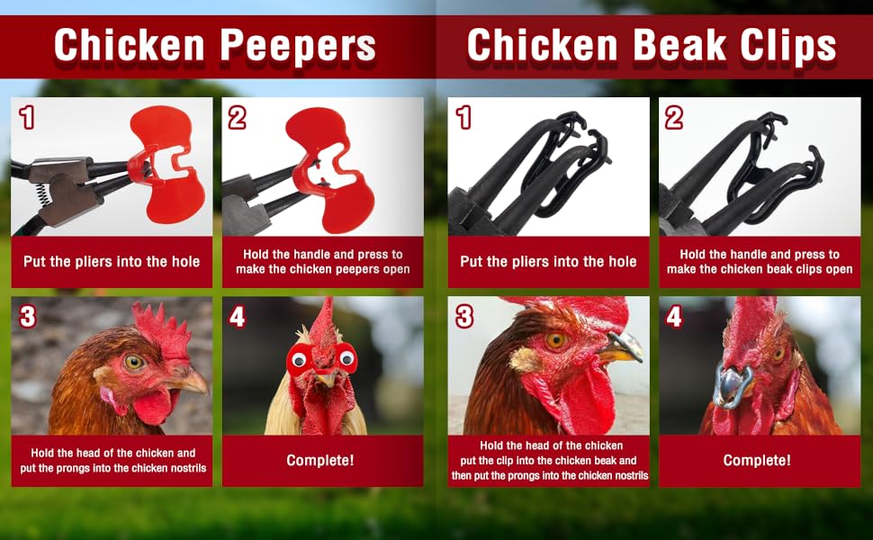 A set of 100pcs, Chicken Beak Clips, Pinless Chicken