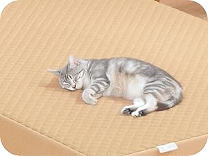 Quilted Mattress Protector