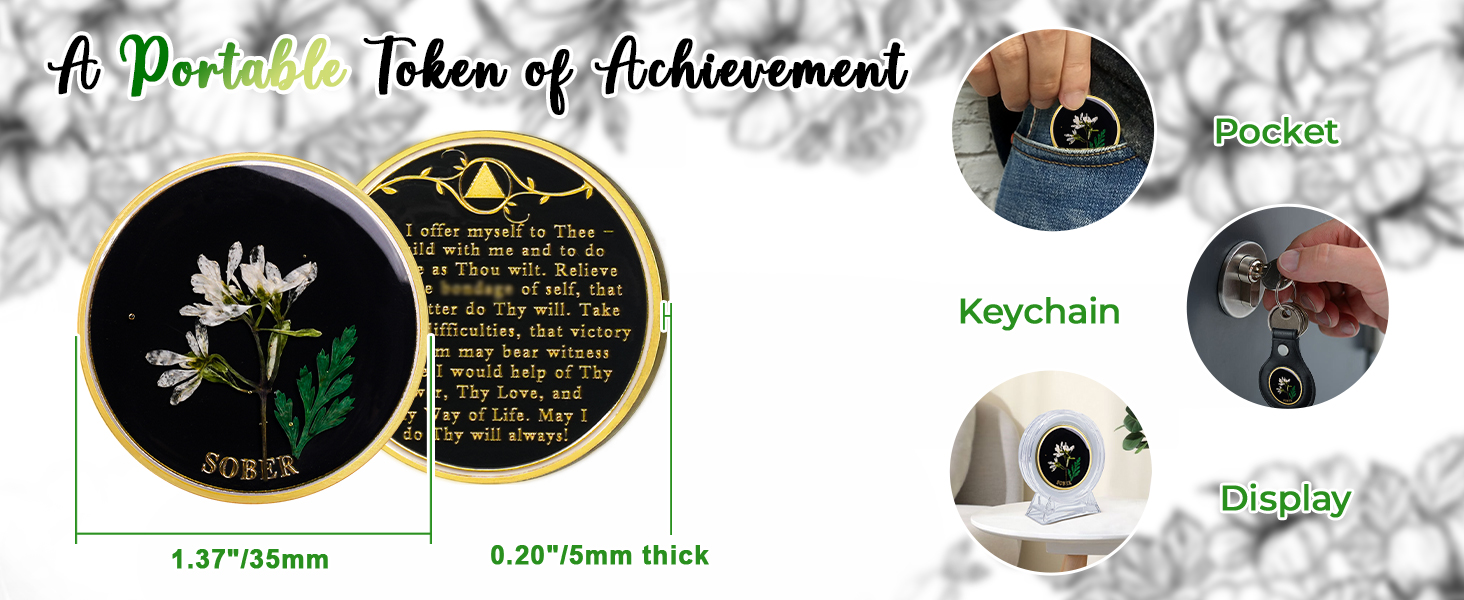 aa coins, aa chips, aa medallions