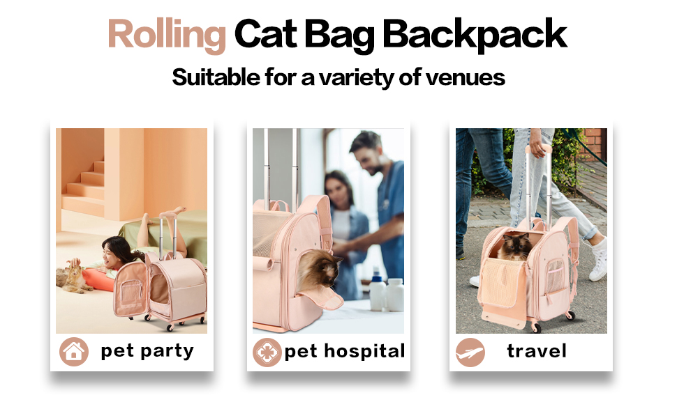 travel cat carrier