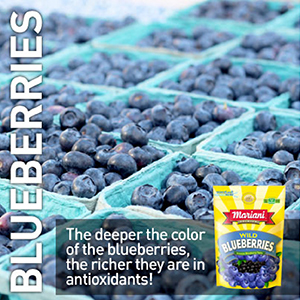 Mariani Wild Blueberries