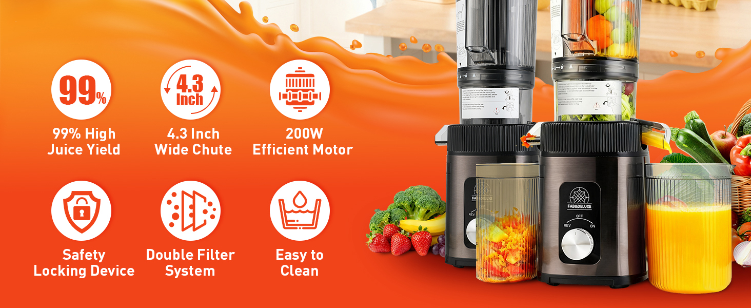 Cold Press Juicer