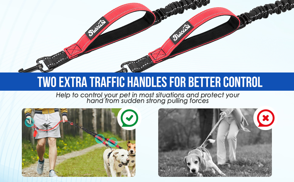 Eyein Double Dog Leash No Tangle 360° Swivel Heavy Duty Reflective