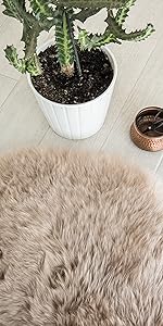 brown sheepskin