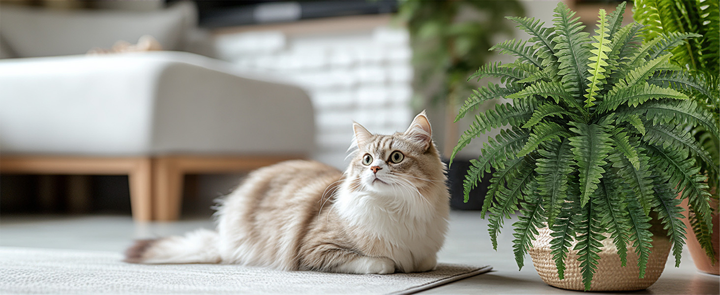 artificial boston fern