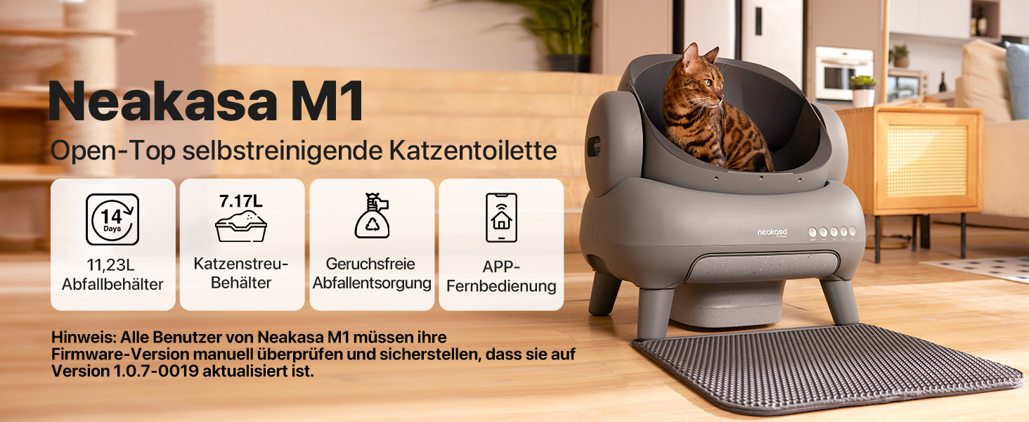 M1 DE