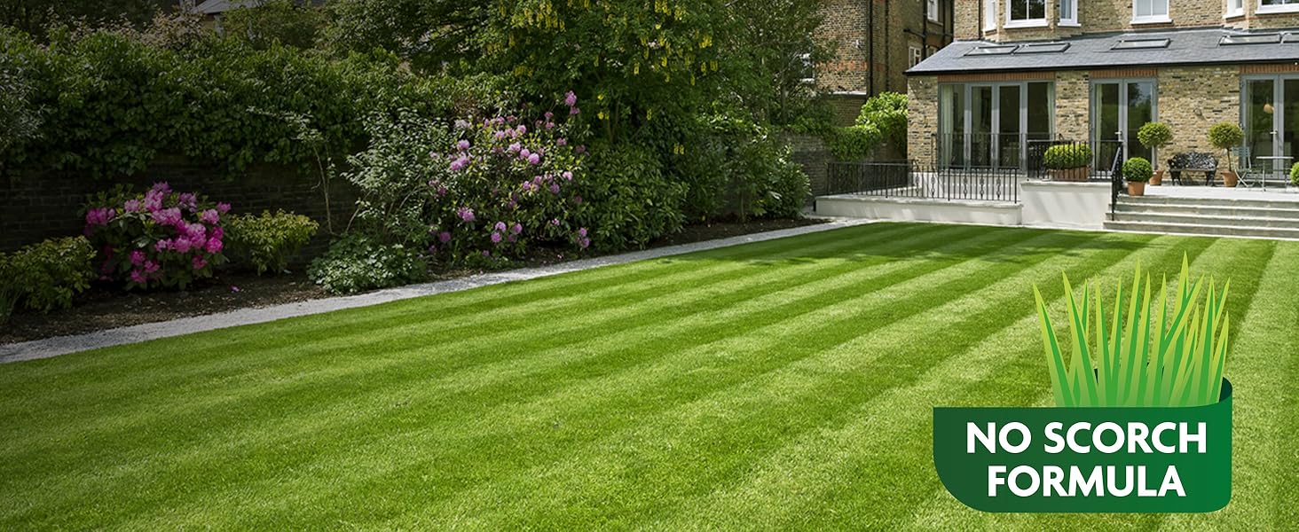 MiracleGro EverGreen Premium Plus No Rake Moss Remover Garden Meals 5 kg 50 m2 My Blog