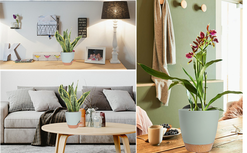 Plant Pots Indoor,Self Watering Plant Pots of 3,Flower Pots with Drainage Holes and Trays