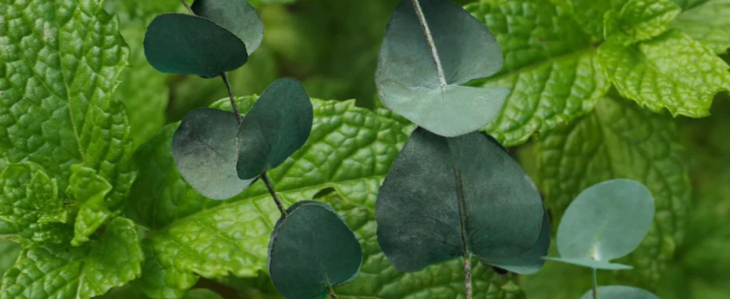 natural ingredients safe for sensitive skin all skin types hydrating aromatherapy dye-free