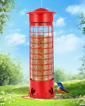 squirrel proof wild bird feeder