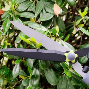 garden shears