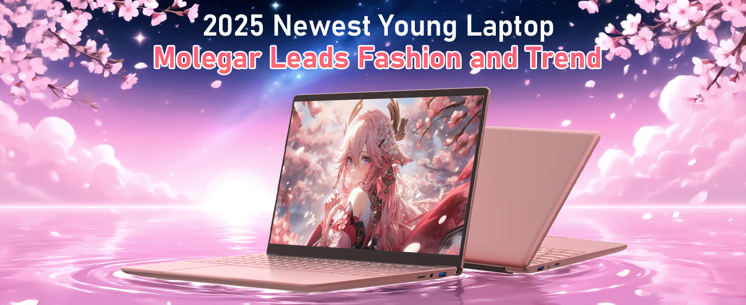 pink laptop