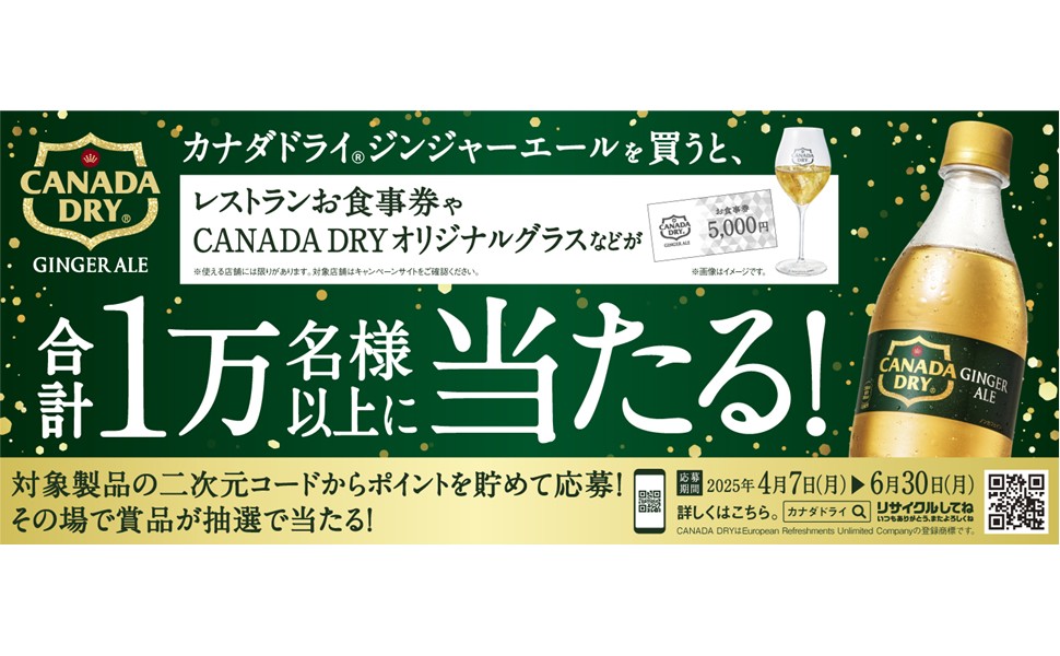 コカ・コーラ - コカ・コーラ、ジンジャーエール、リプトン Amazon.co.jp: コカ・コーラ カナダドライ ジンジャーエール