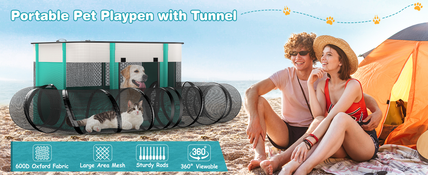 outdoor cat enclosures