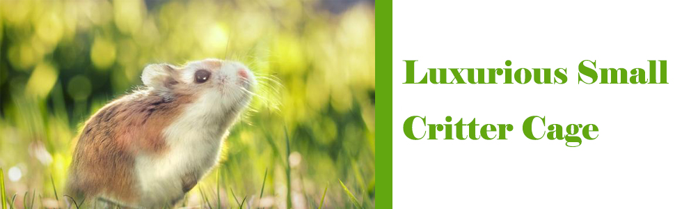 SMALL CRITTER COMFORTABLE HOME