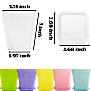 Seedling Nursery Pots with Saucers