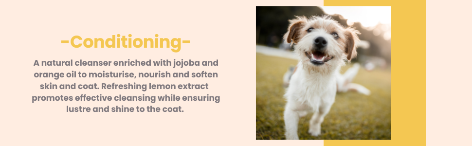 PET SHAMPOO DOGS CONDITIONING FUNGAL CATS VEGAN