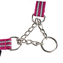 choke chain collar 