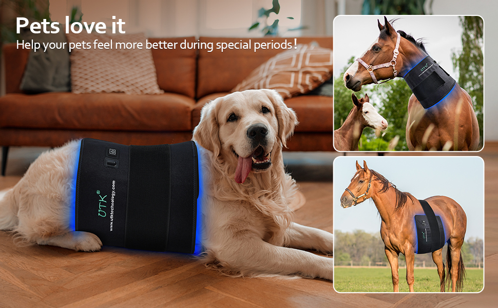 blue light therapy for pet