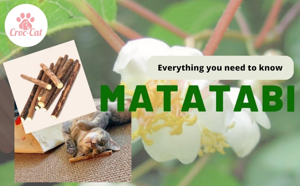 Matatabi