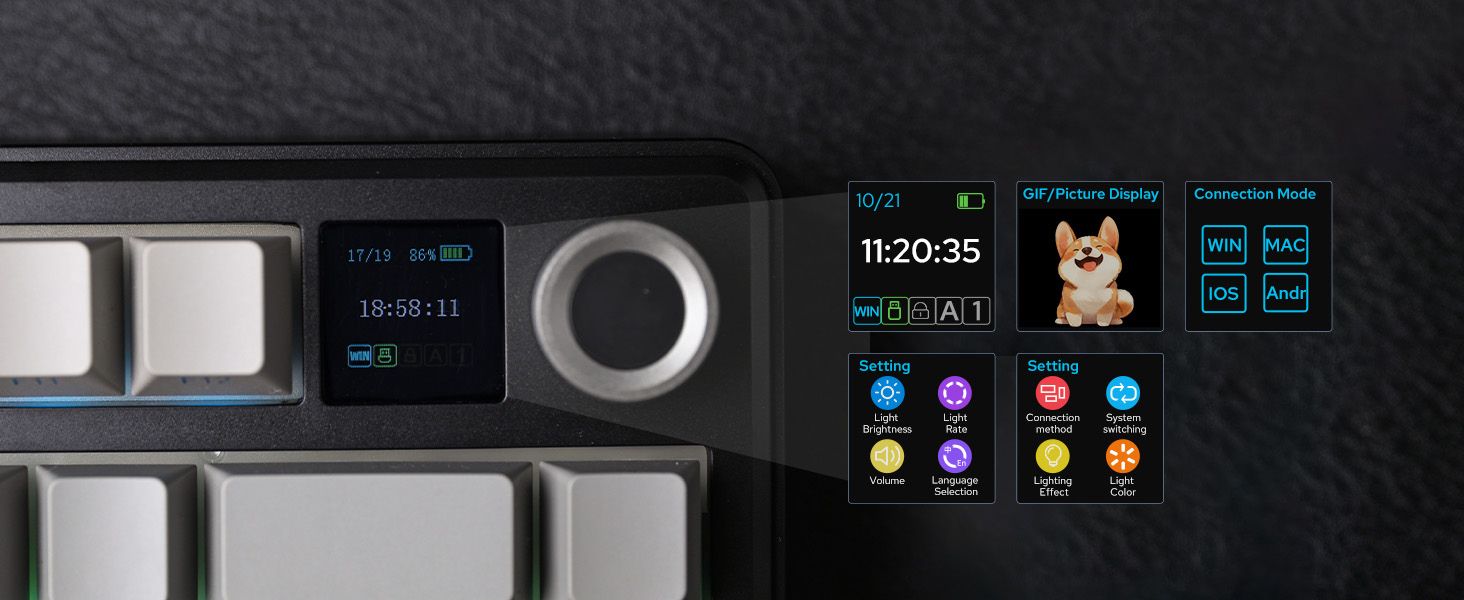 Display Screen With Knob