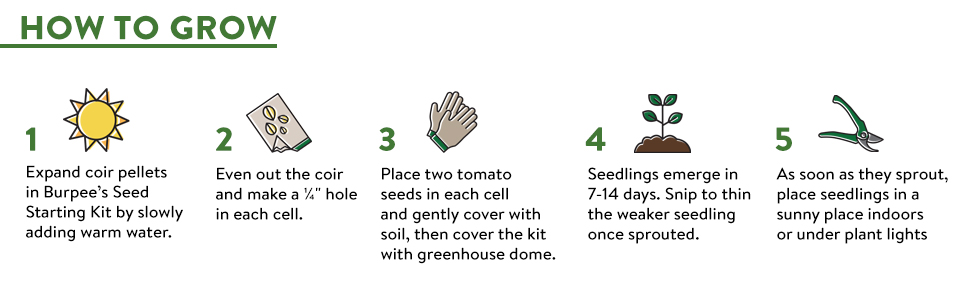 vegetable seeds, seeds for planting vegetables and fruits, tomato seeds for planting, seeds