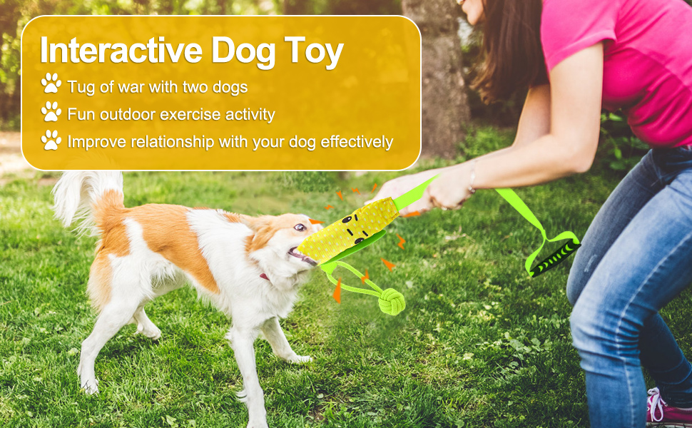 Dog Tug of War Toy, Squeaky Interactive Dog Rope Toy, Indestructible