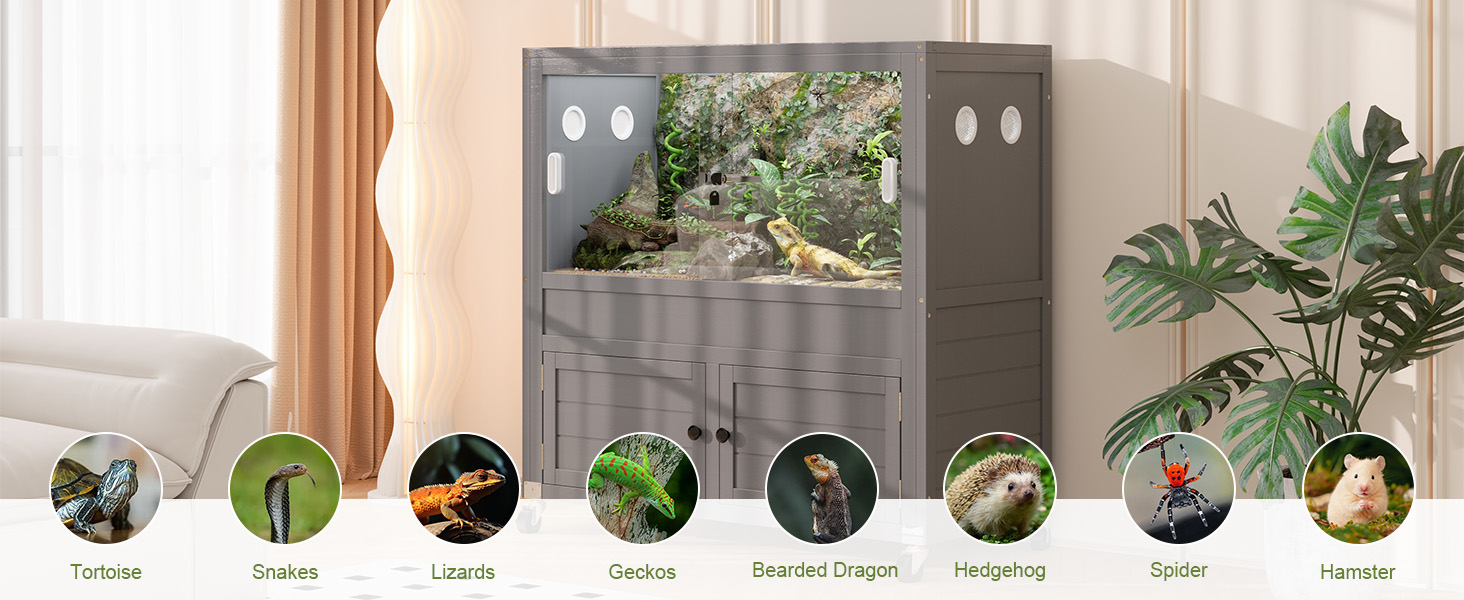 Suitable pets for keeping