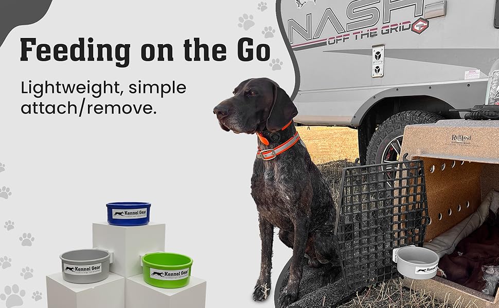 Mountable dog crate water bowl no spill design for easy feeding in cages or kennels