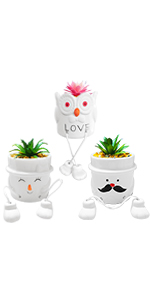 Artificial Succulents Plants