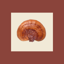 REISHI