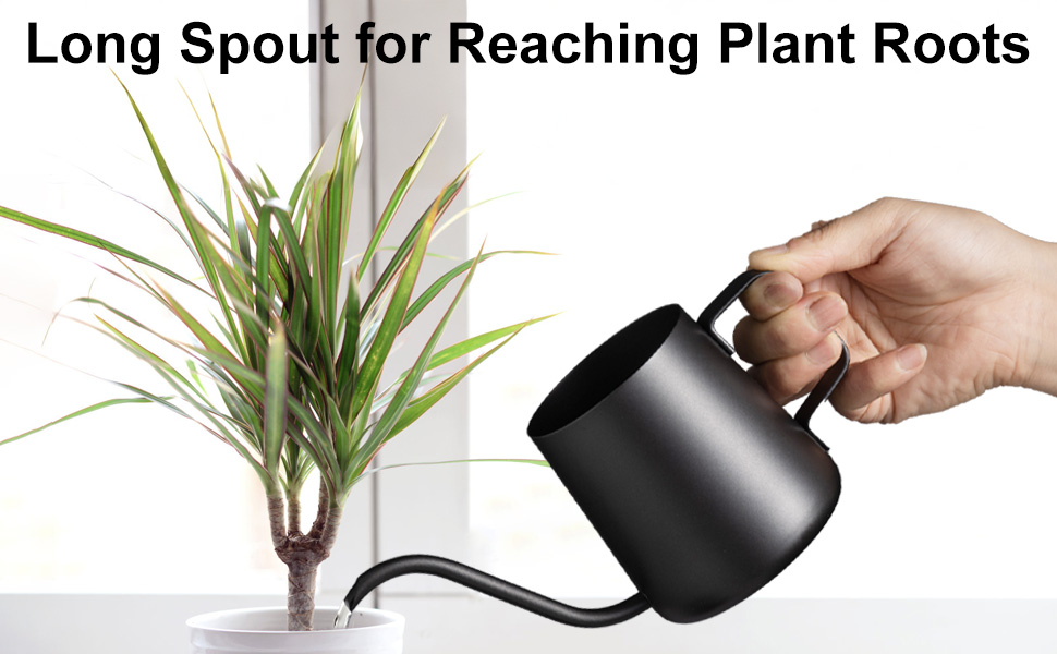 Small Watering Can for Indoor Plants, Mini Indoor Watering Can with Long Spout and Handle