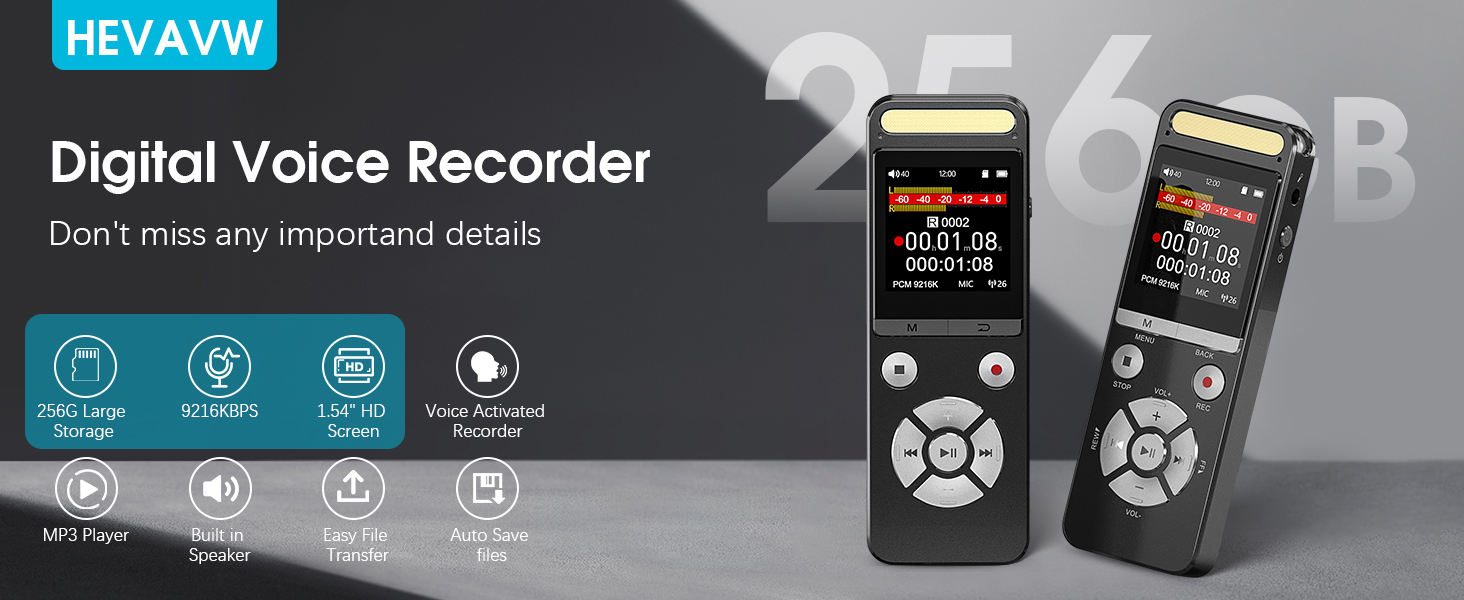 voice recorder with playback