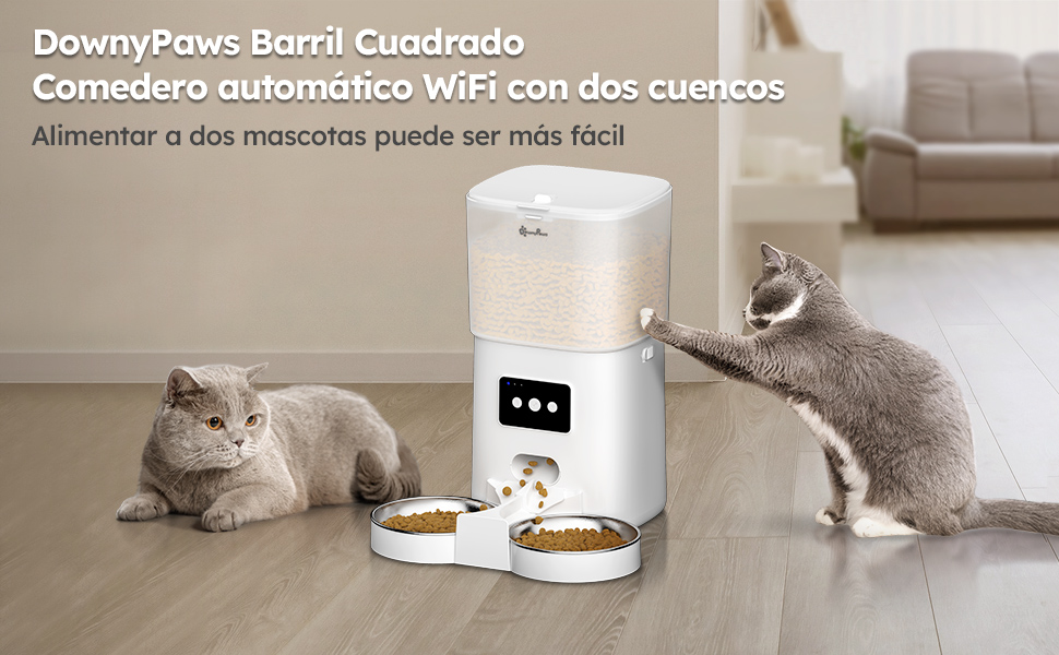 comedero gato automatico